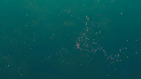 Microplastics: From Clothes into Our Bodies